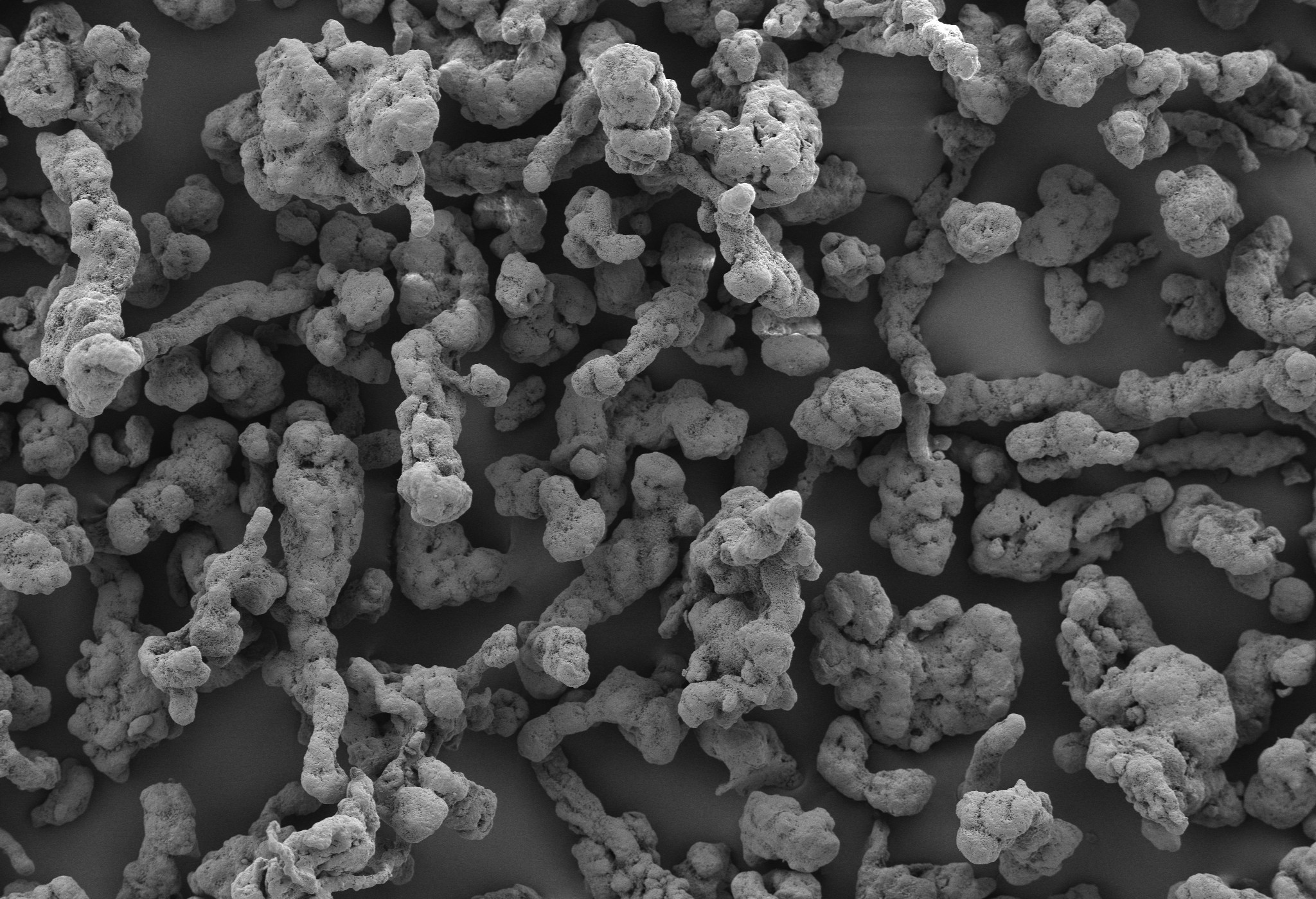 HPMC Hypromellose Mannitol_Sustained Release_modified release_direct compression